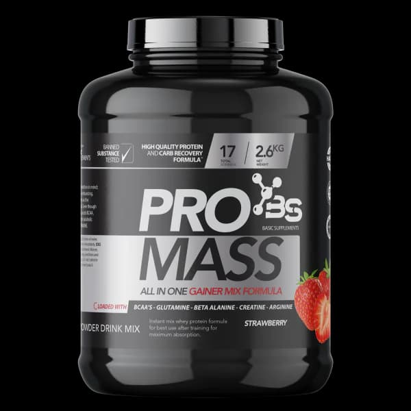 Basic PRO Mass- gejner jagoda 2.6kg - Titan Premium
