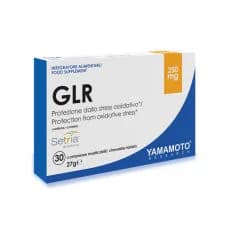 Yamamoto GLR - Titan Premium
